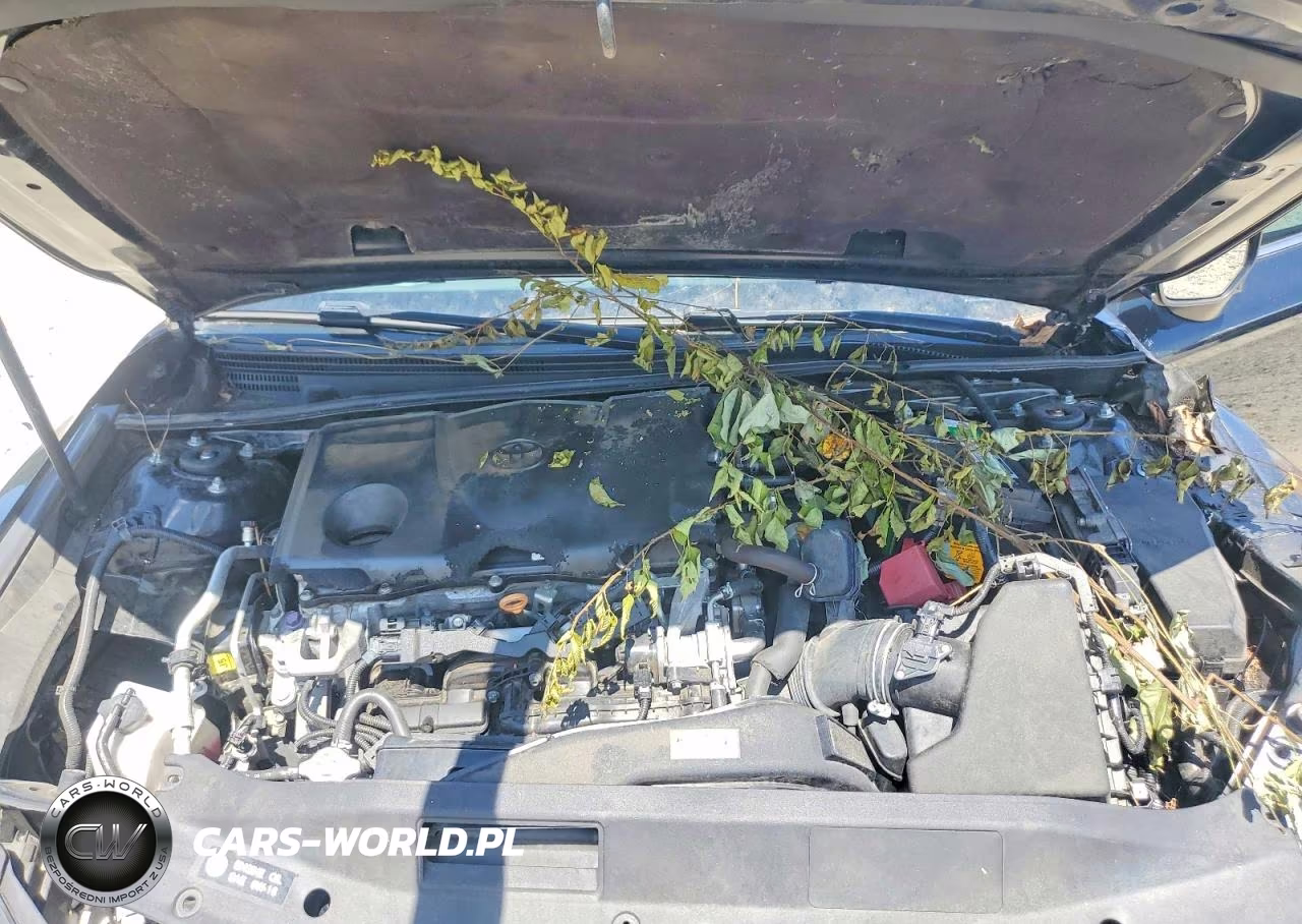 2019 Toyota Camry Se VIN:4T1B11HK5KU737252 - 11