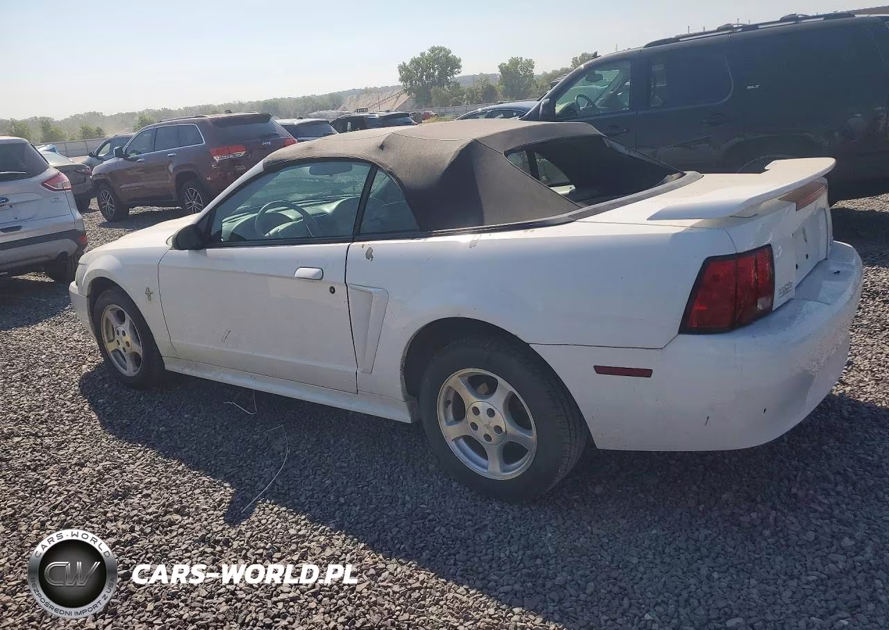 2003 Ford Mustang VIN:1FAFP44403F315740 - 2