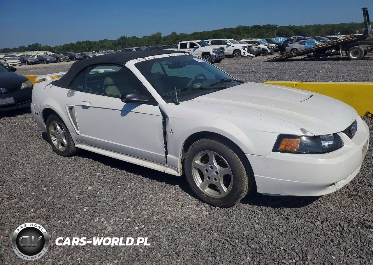 2003 Ford Mustang VIN:1FAFP44403F315740 - 4