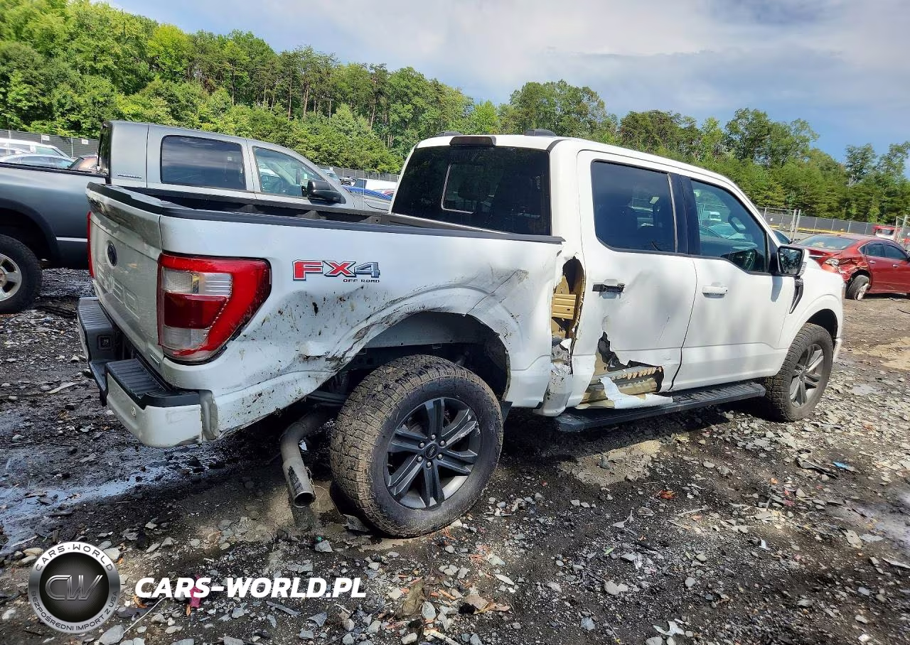 2023 Ford F150 Supercrew VIN:1FTFW1E80PFB72226 - 3
