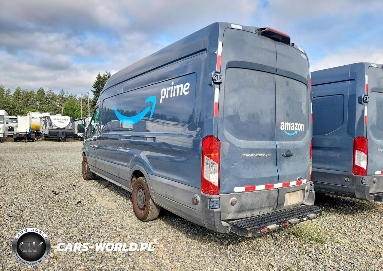 2019 Ford Transit 250 Delivery Van VIN:1FTYR3XM2KKB90295 - 2