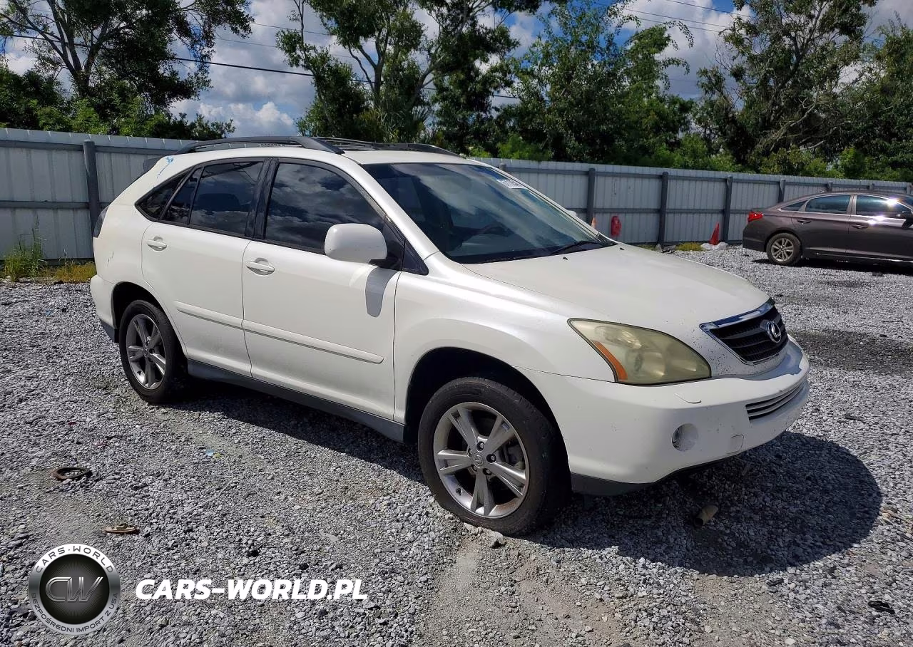 2006 Lexus Rx 400 VIN:JTJGW31U560002154 - 4