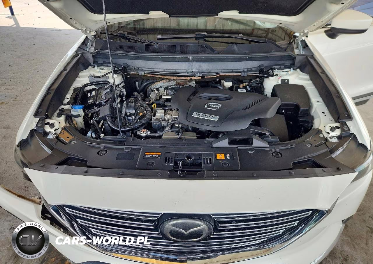 2017 Mazda Cx-9 Signature VIN:JM3TCBEY5H0133922 - 11