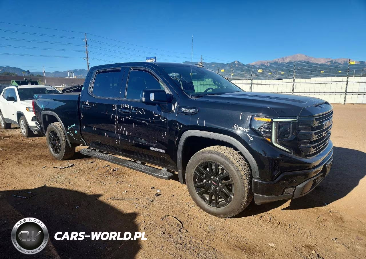 2025 GMC Sierra K1500 Elevation VIN:3GTUUCED5SG305401 - 4