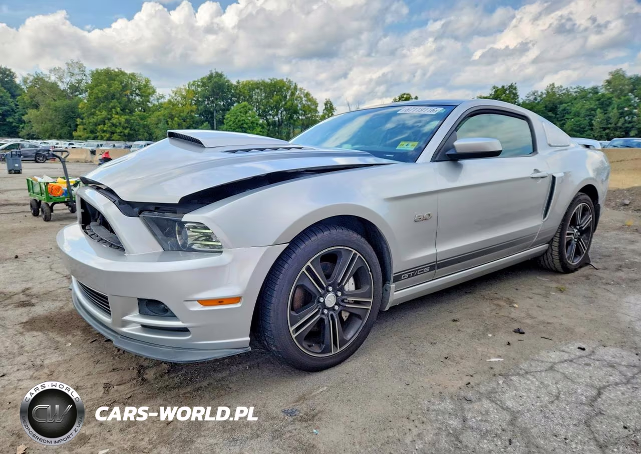 2013 Ford Mustang Gt VIN:1ZVBP8CF5D5250407 - 1
