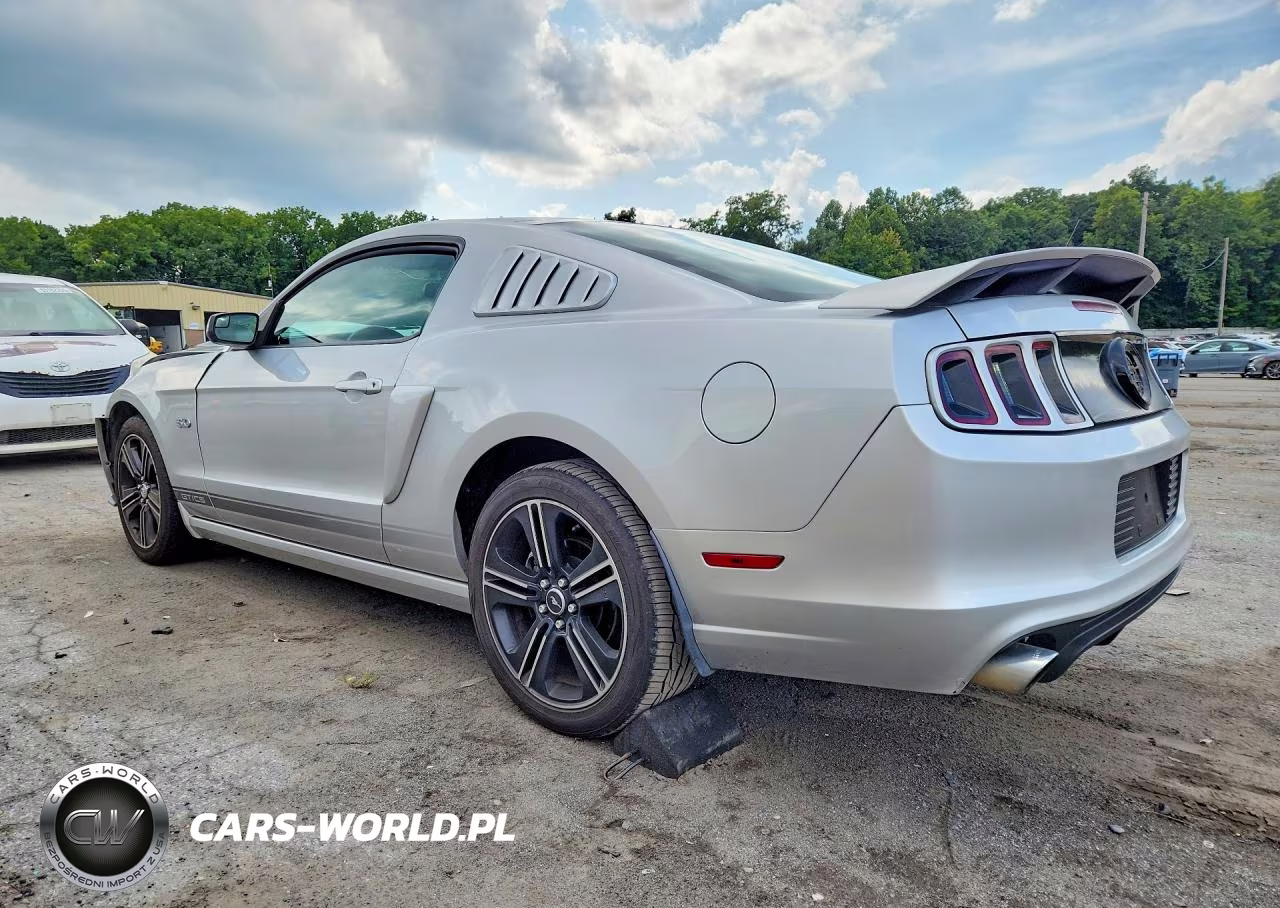 2013 Ford Mustang Gt VIN:1ZVBP8CF5D5250407 - 2