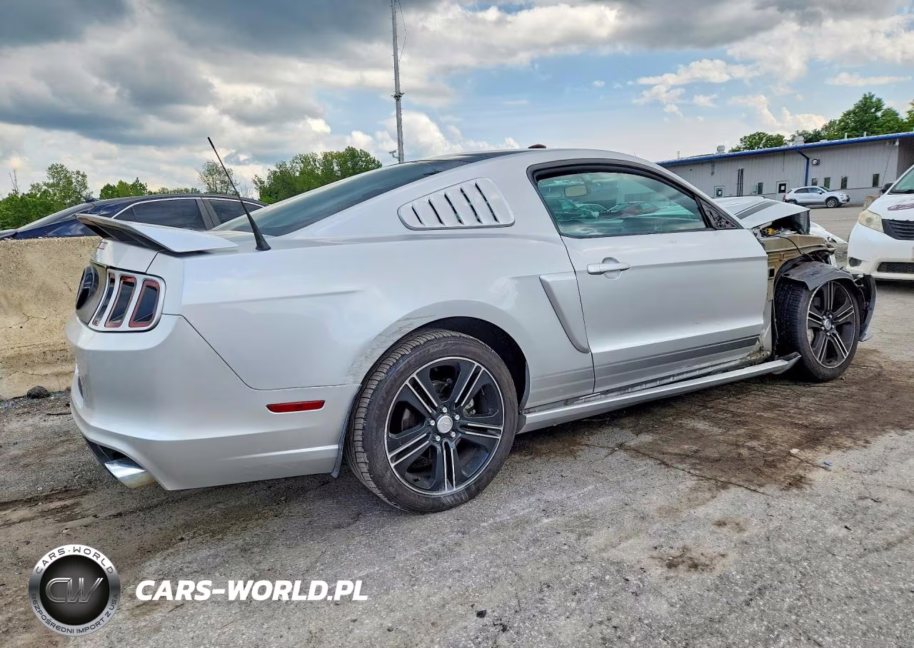 2013 Ford Mustang Gt VIN:1ZVBP8CF5D5250407 - 3