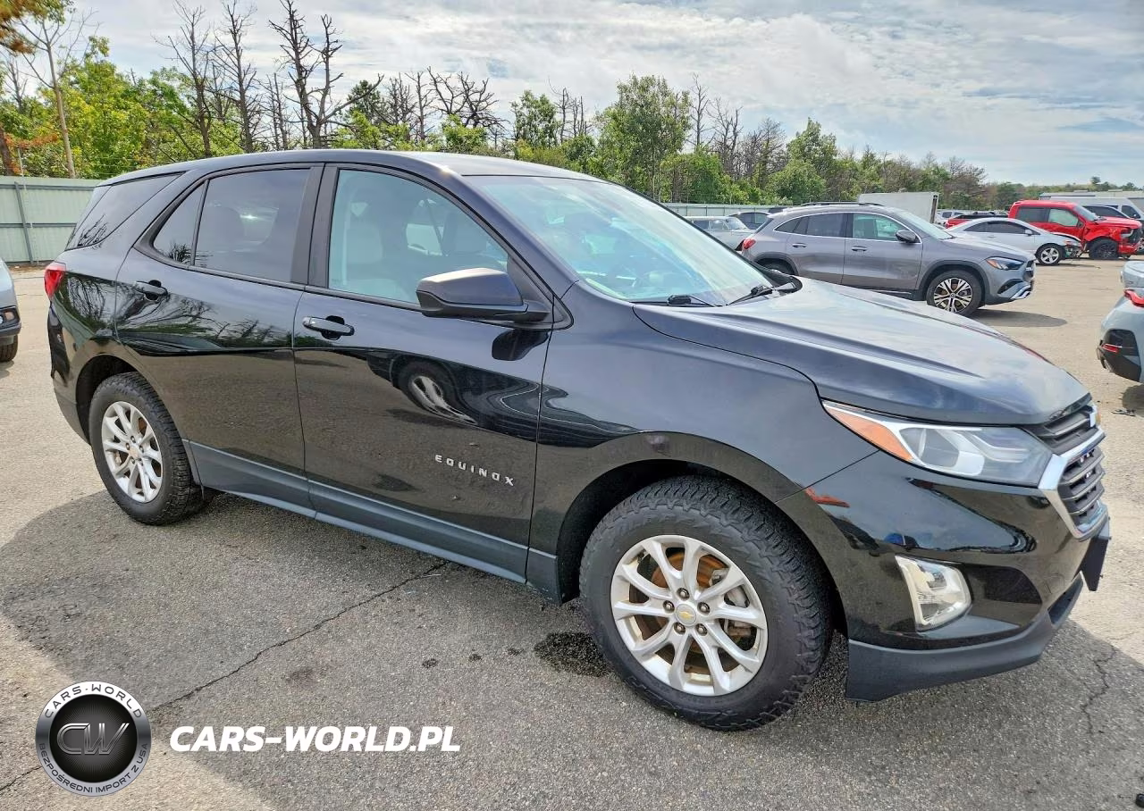2020 Chevrolet Equinox Ls VIN:2GNAXHEV2L6166655 - 4