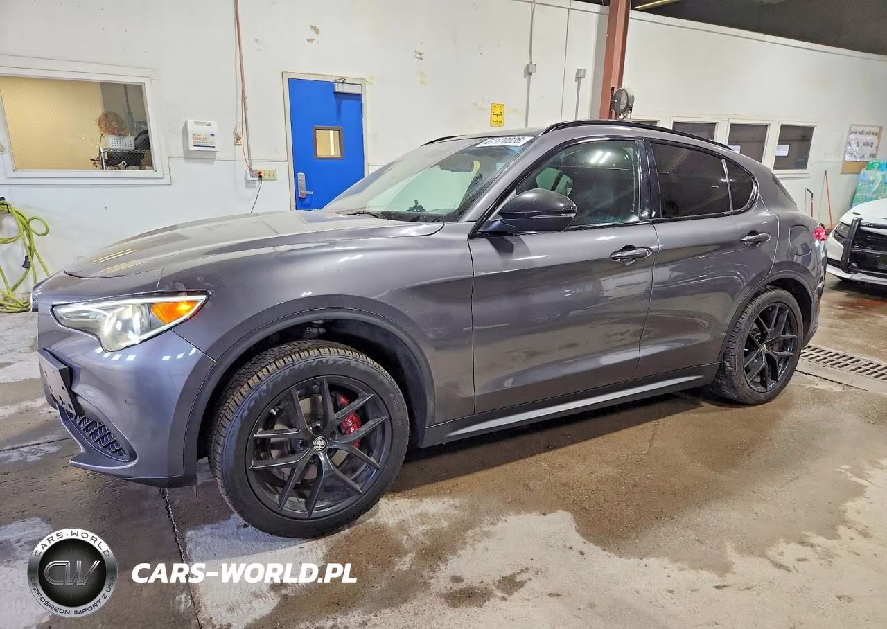 2019 Alfa Romeo Stelvio Ti VIN:ZASPAKBN7K7C41474 - 1