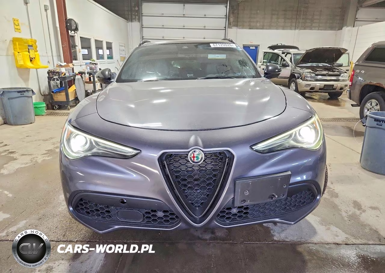 2019 Alfa Romeo Stelvio Ti VIN:ZASPAKBN7K7C41474 - 5