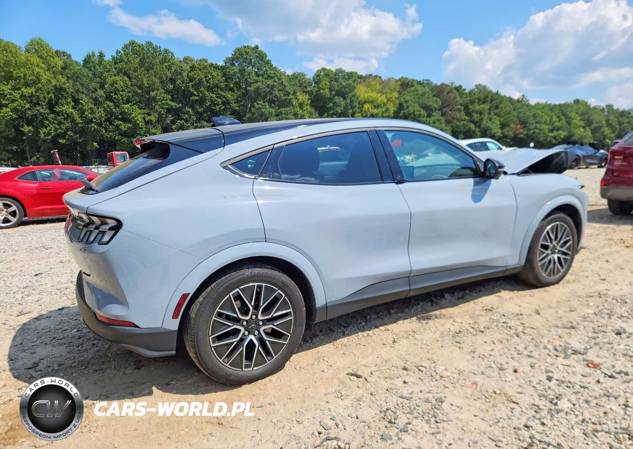 2025 Ford Mustang Mach-E Premium VIN:3FMTK3SU5SMA02640 - 3