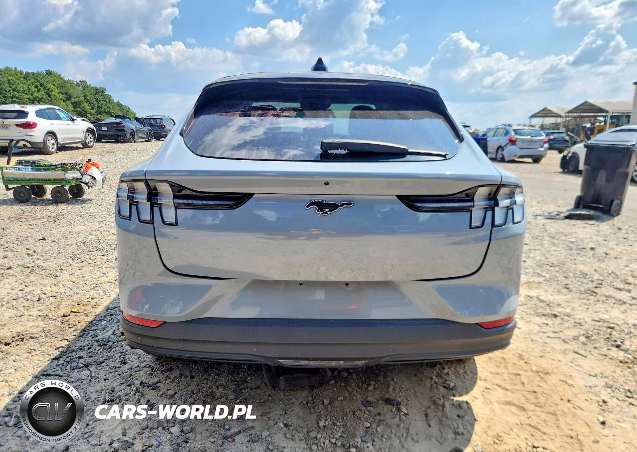 2025 Ford Mustang Mach-E Premium VIN:3FMTK3SU5SMA02640 - 6
