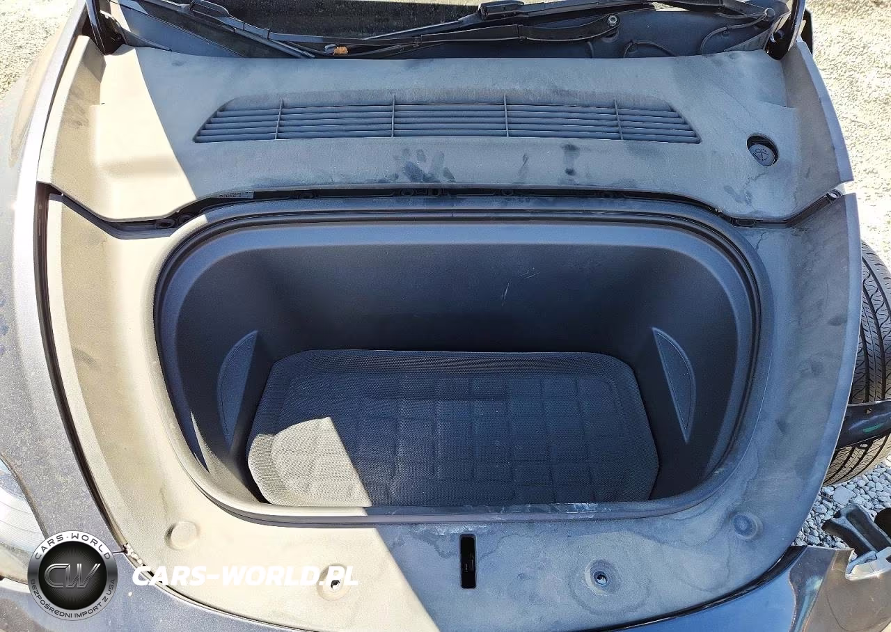 2024 Tesla Model Y VIN:7SAYGAEE8RF004114 - 12