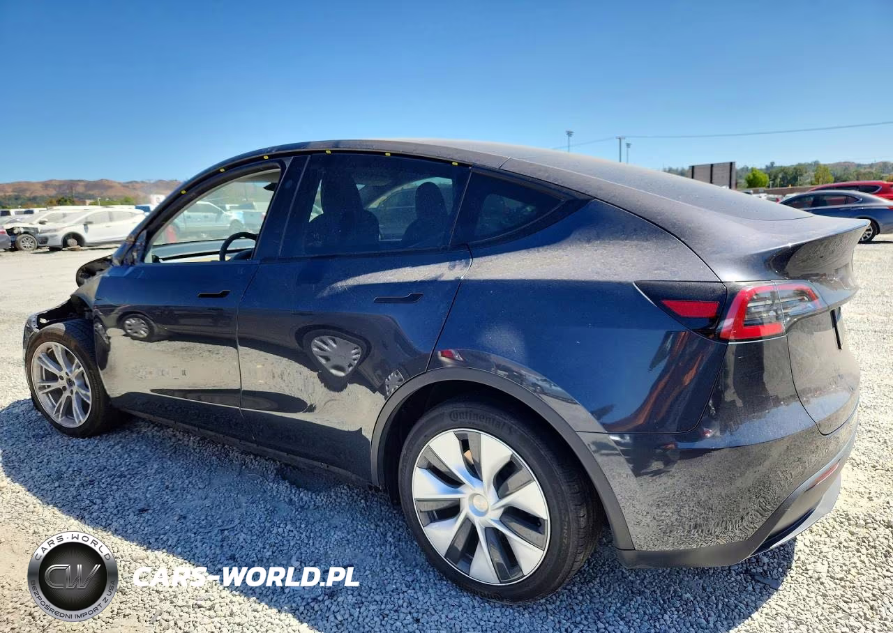 2024 Tesla Model Y VIN:7SAYGAEE8RF004114 - 2