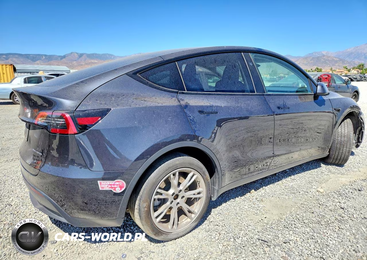 2024 Tesla Model Y VIN:7SAYGAEE8RF004114 - 3