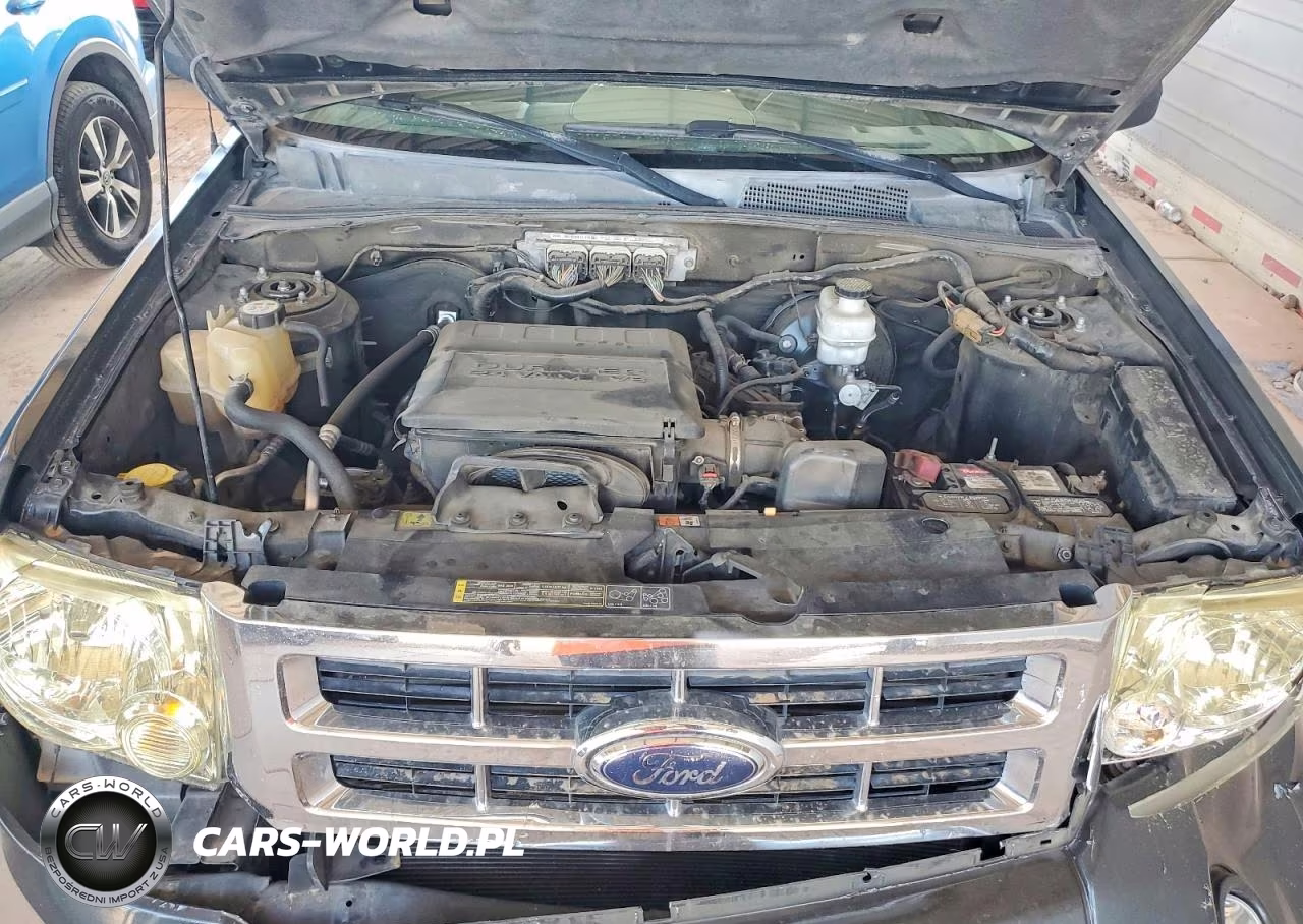 2009 Ford Escape Xlt VIN:1FMCU03G59KC57646 - 11