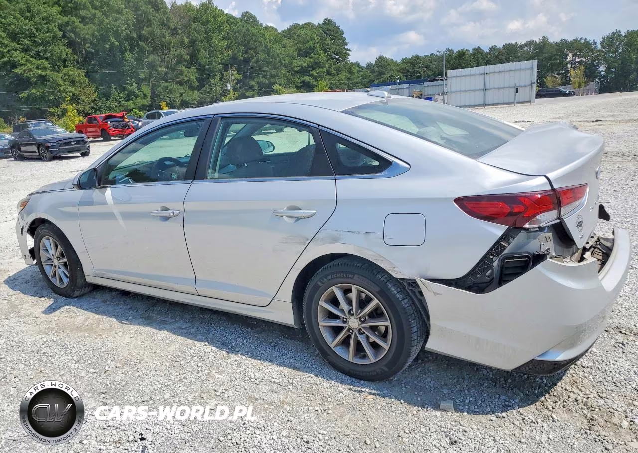 2018 Hyundai Sonata Se VIN:5NPE24AF0JH699516 - 2