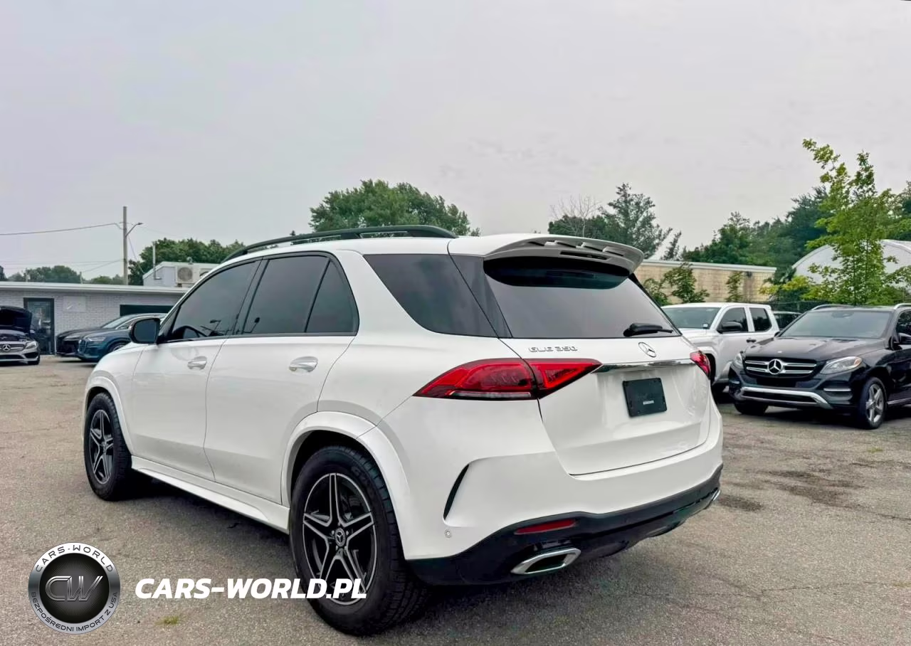 2020 Mercedes-Benz Gle 350 VIN:4JGFB4JB6LA248842 - 3