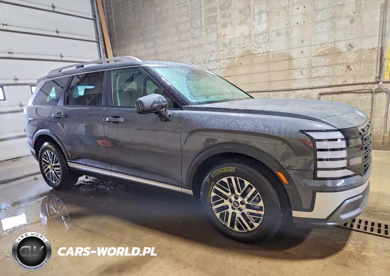 2026 Hyundai Palisade Sel VIN:KM8RLES26TU137866 - 4
