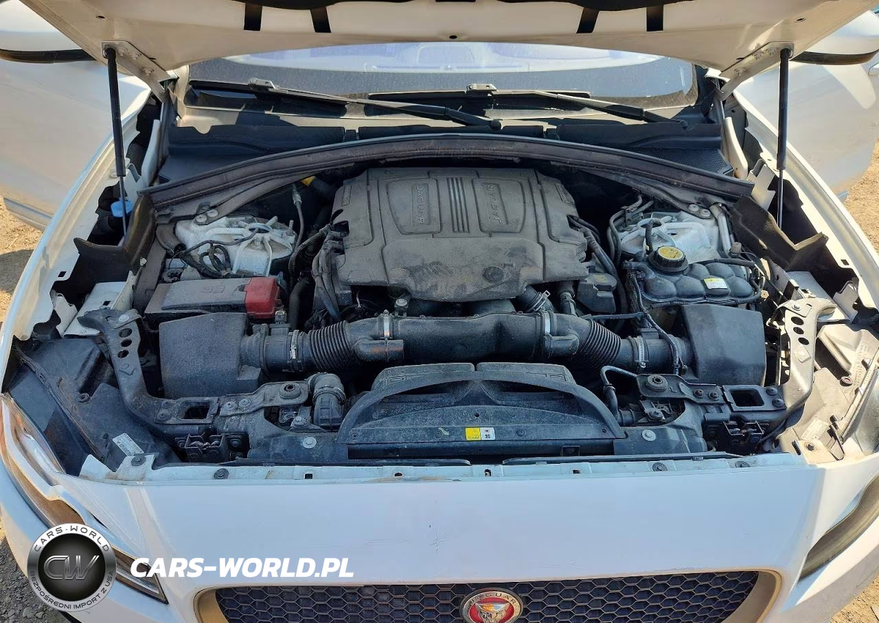 2019 Jaguar F-Pace S VIN:SADCM2FV8KA390265 - 12