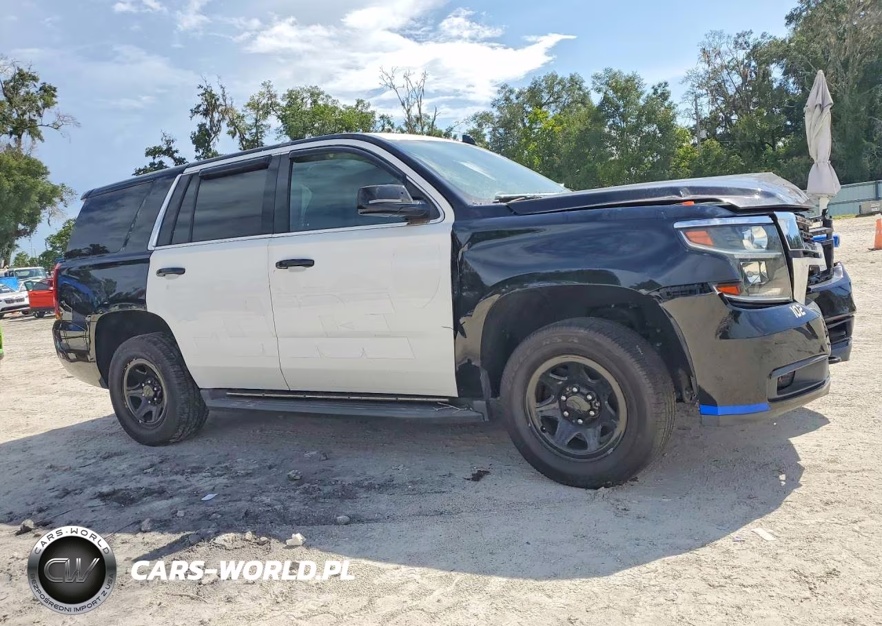 2020 Chevrolet Tahoe Police VIN:1GNLCDEC5LR168397 - 4