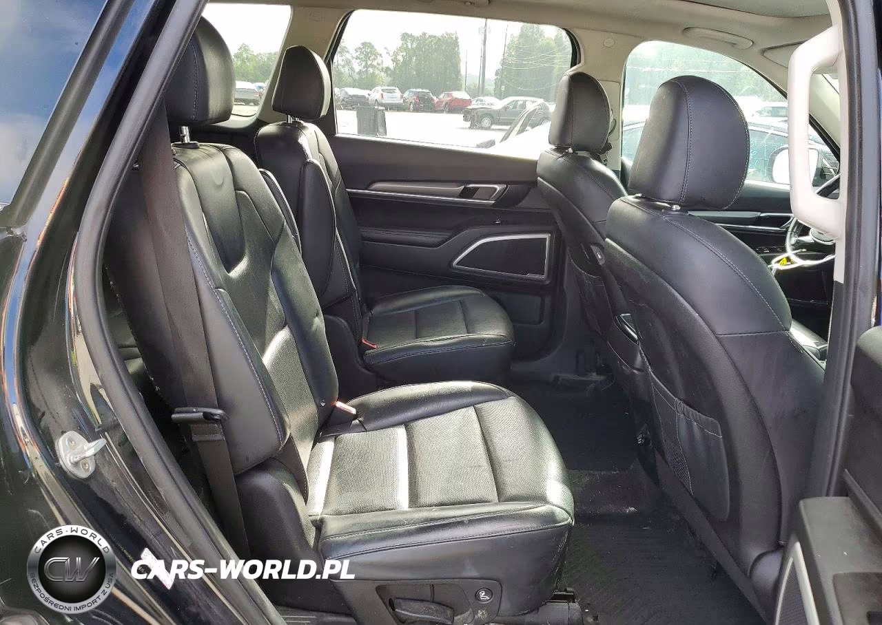 2020 Kia Telluride S VIN:5XYP64HC7LG069205 - 11