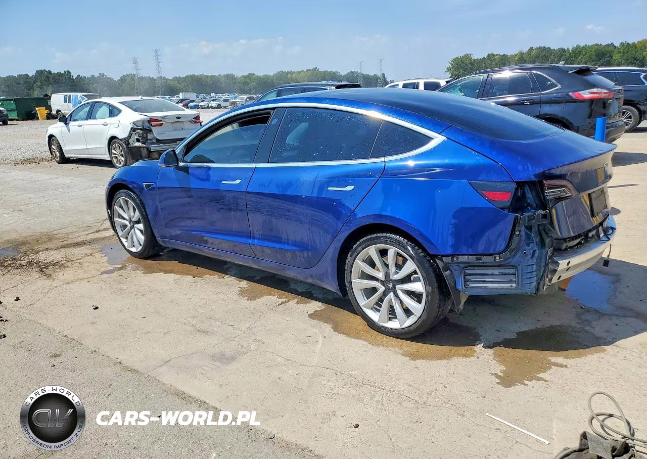 2019 Tesla Model 3 VIN:5YJ3E1EB8KF437666 - 2