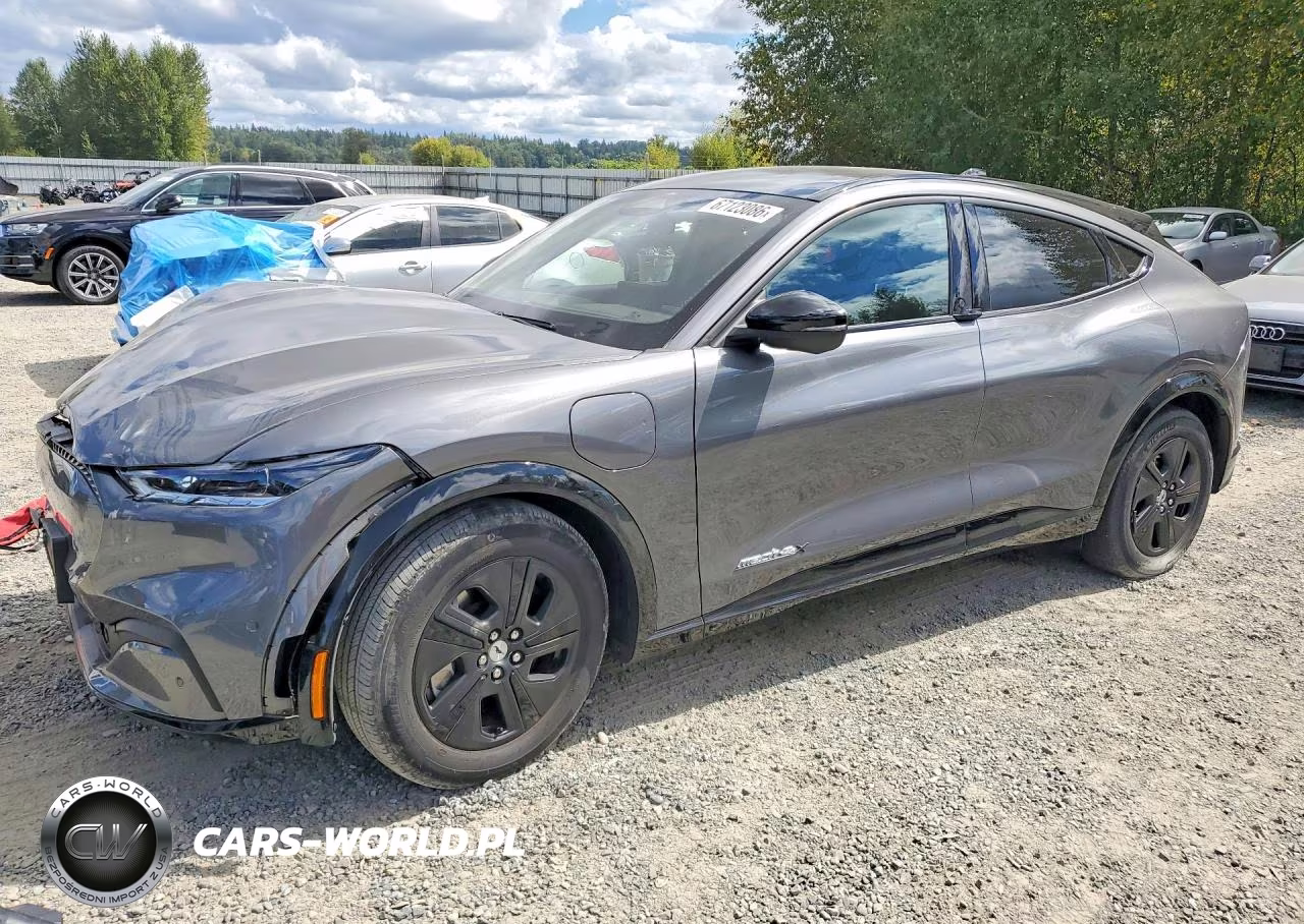 2023 Ford Mustang Mach-E California Route 1