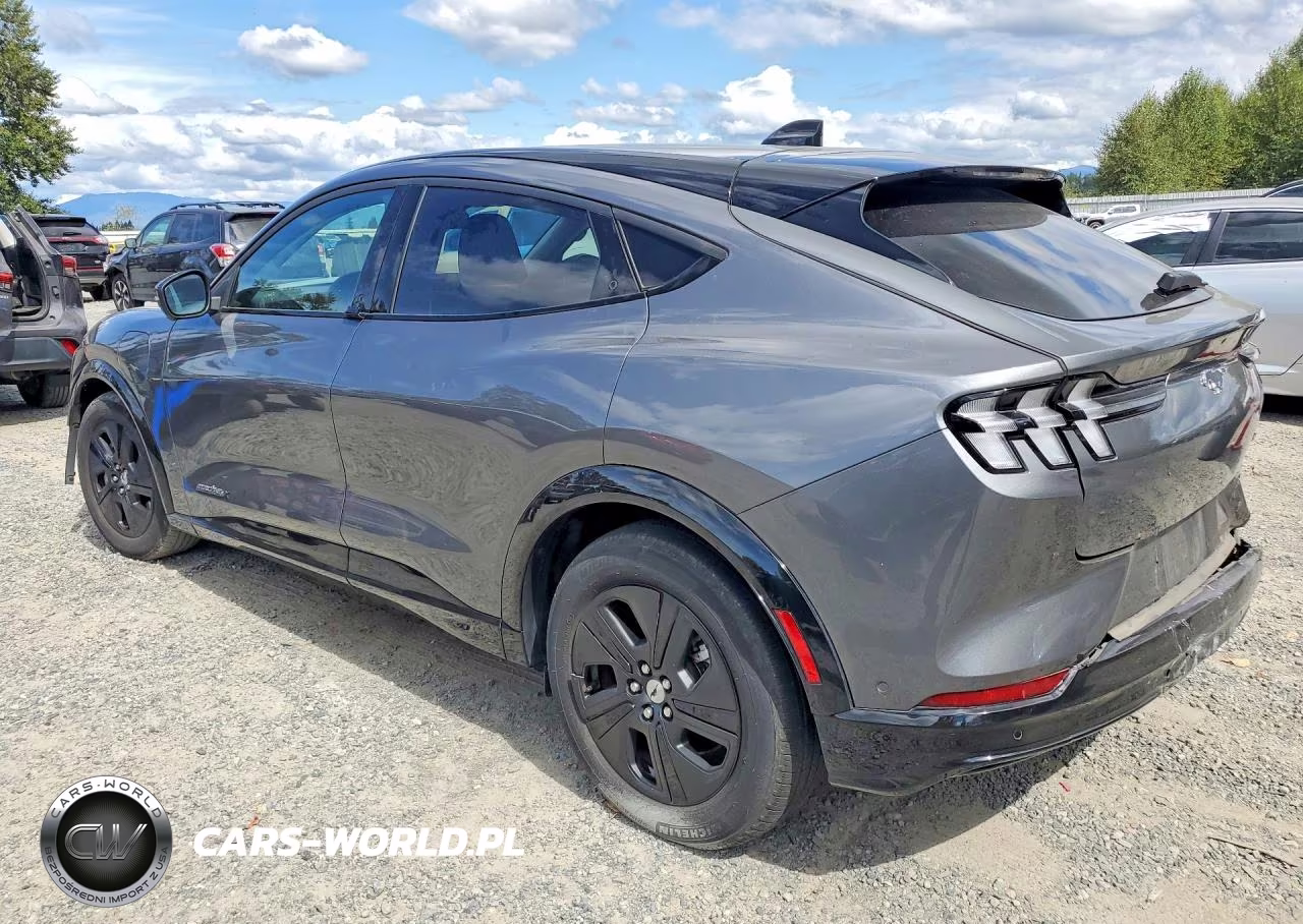 2023 Ford Mustang Mach-E California Route 1 VIN:3FMTK2SUXPMA86388 - 2