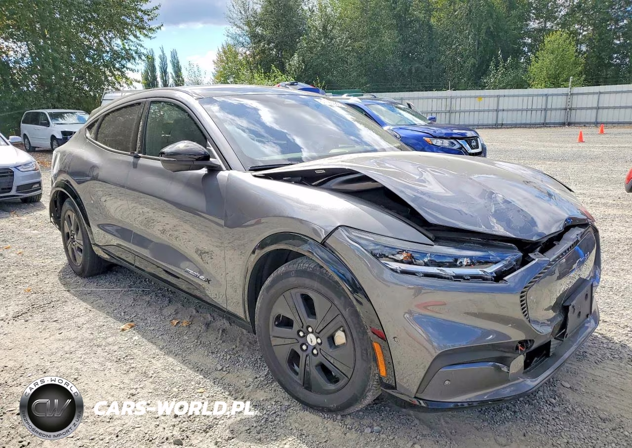 2023 Ford Mustang Mach-E California Route 1 VIN:3FMTK2SUXPMA86388 - 4