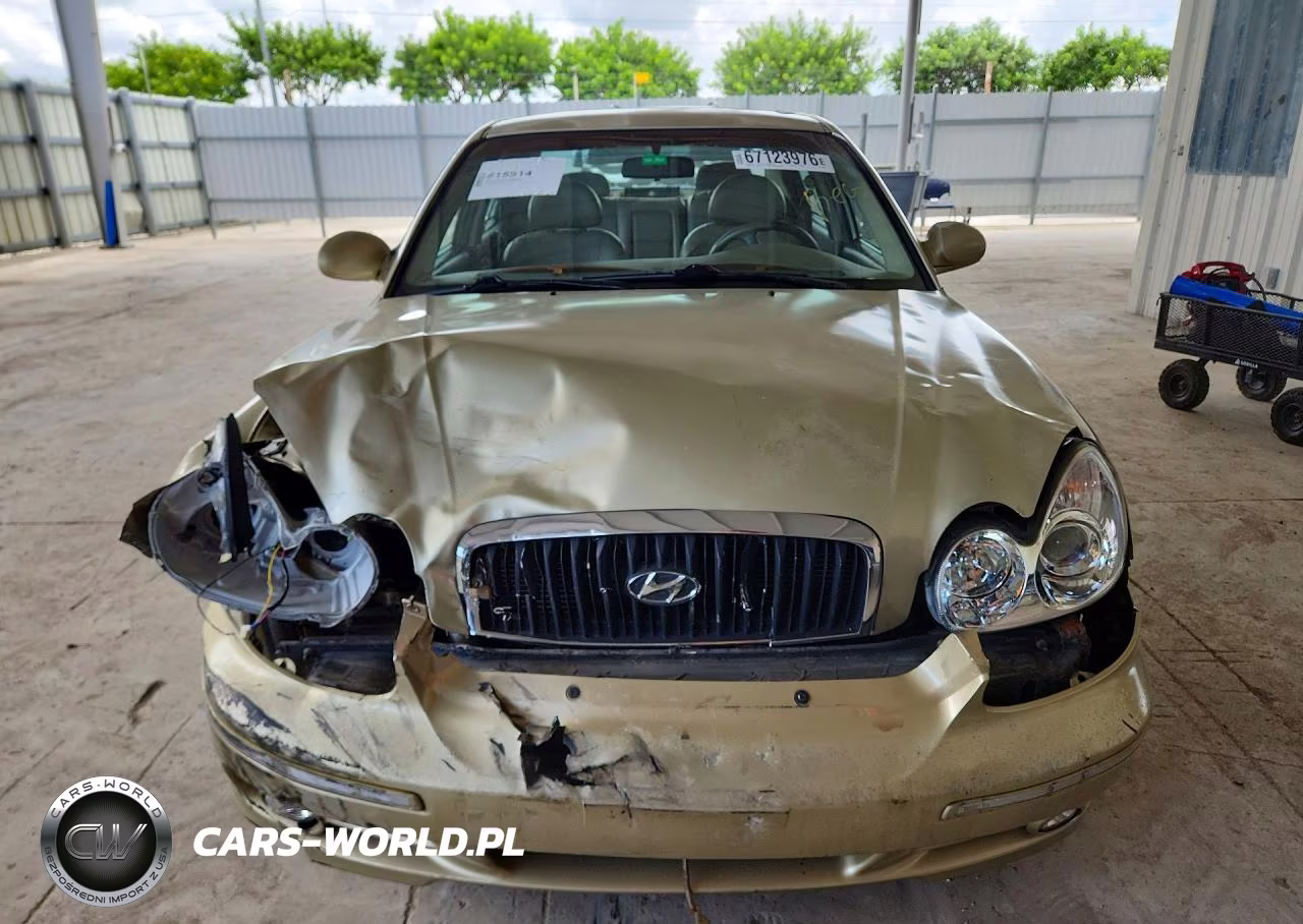 2004 Hyundai Sonata Gls VIN:KMHWF35HX4A078466 - 5