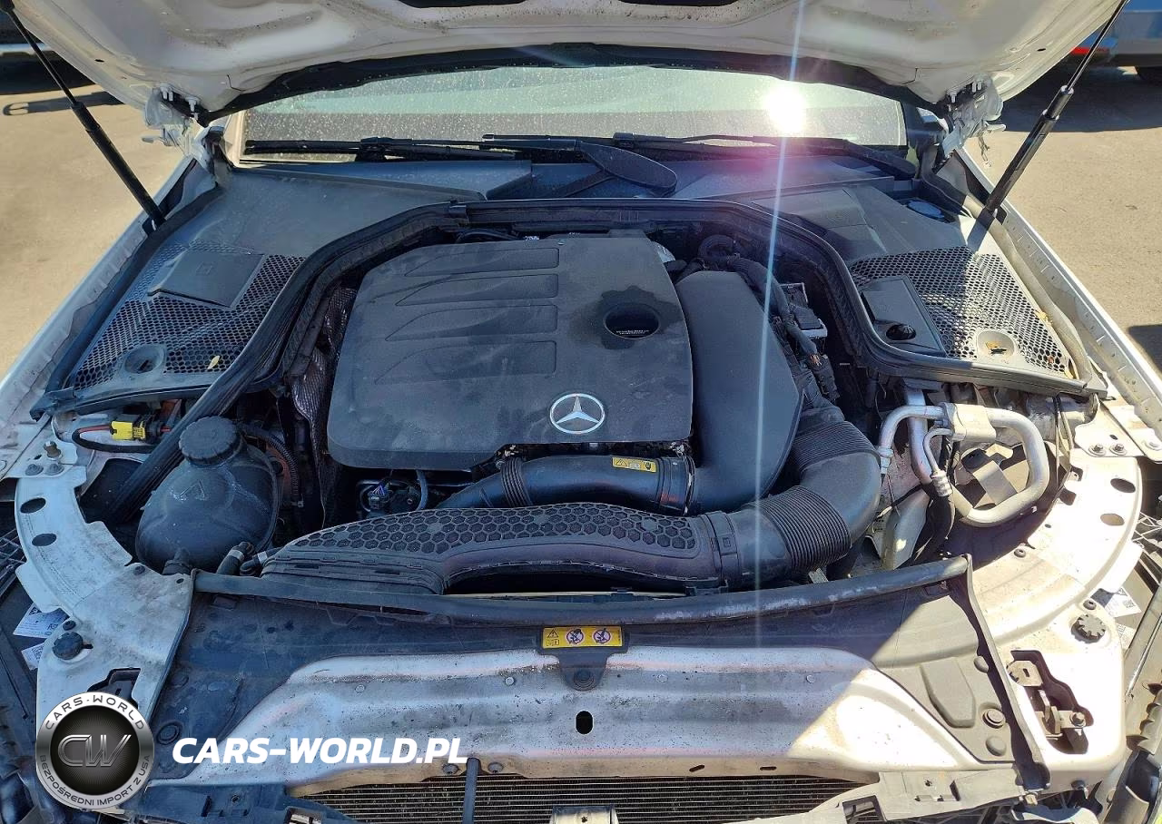 2020 Mercedes-Benz C 300 VIN:WDDWF8DB0LR544796 - 11