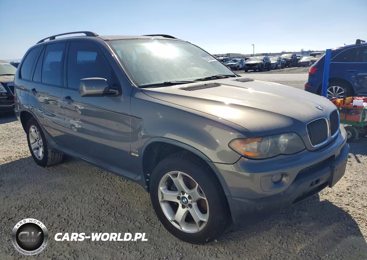 2006 BMW X5 3.0I VIN:5UXFA135X6LY19463 - 4
