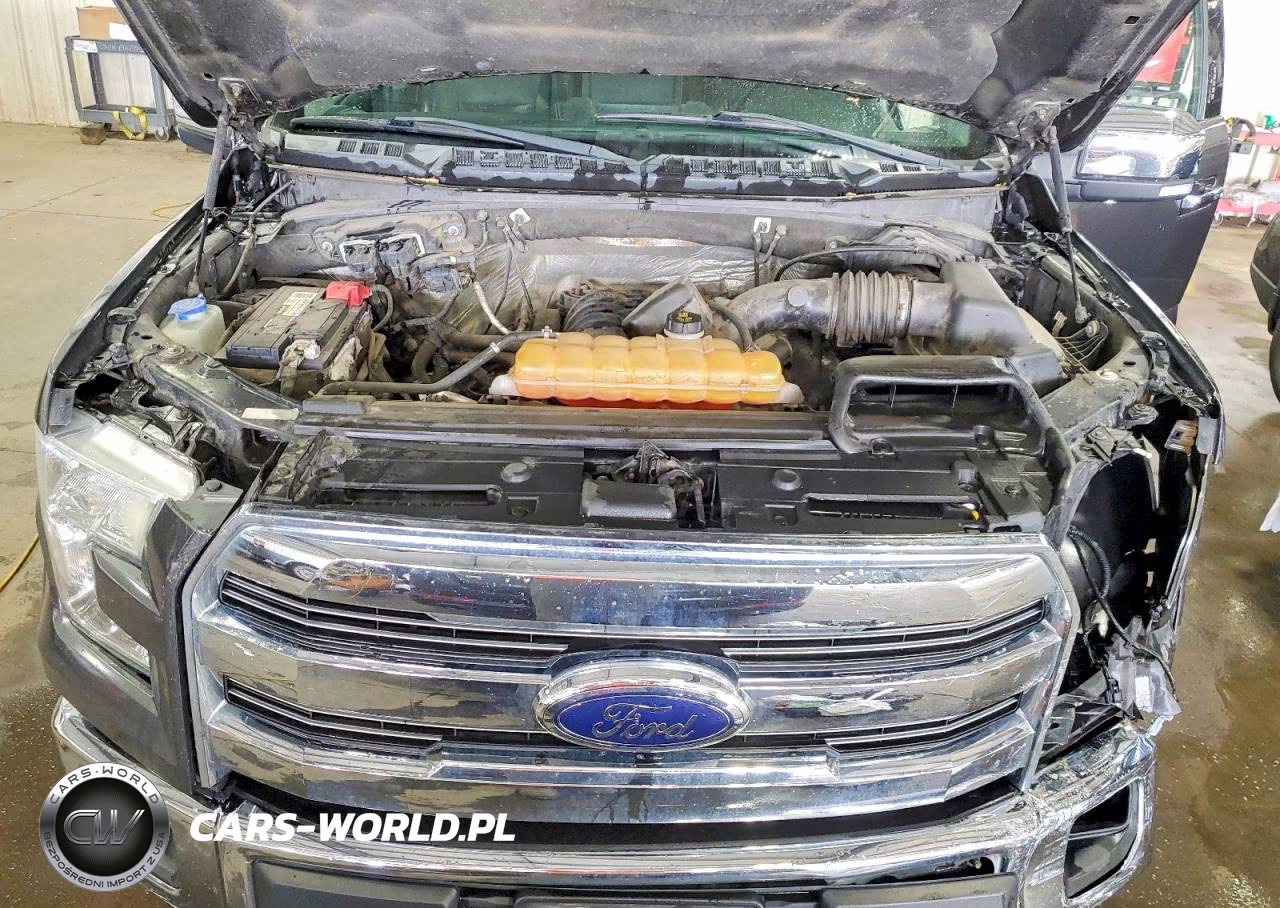2016 Ford F150 Supercrew VIN:1FTEW1EF5GKF44452 - 11