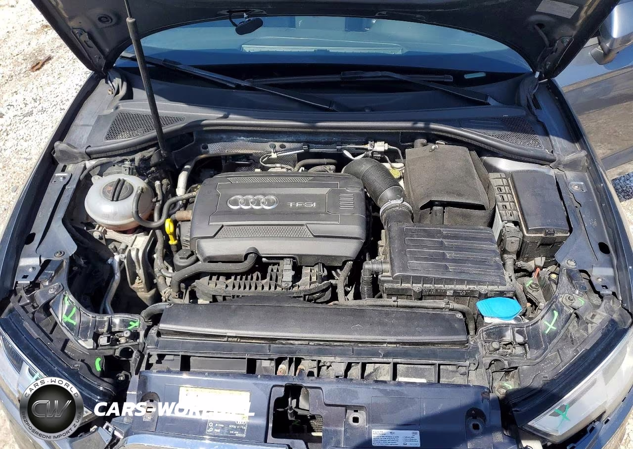 2017 Audi A3 Premium VIN:WAUB8GFF4H1014119 - 11