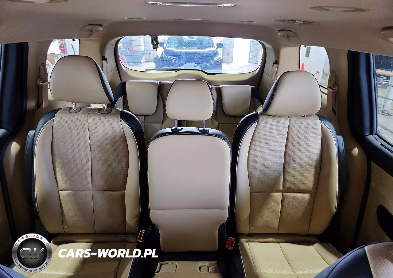 2015 Kia Sedona Sx VIN:KNDMC5C18F6019640 - 10