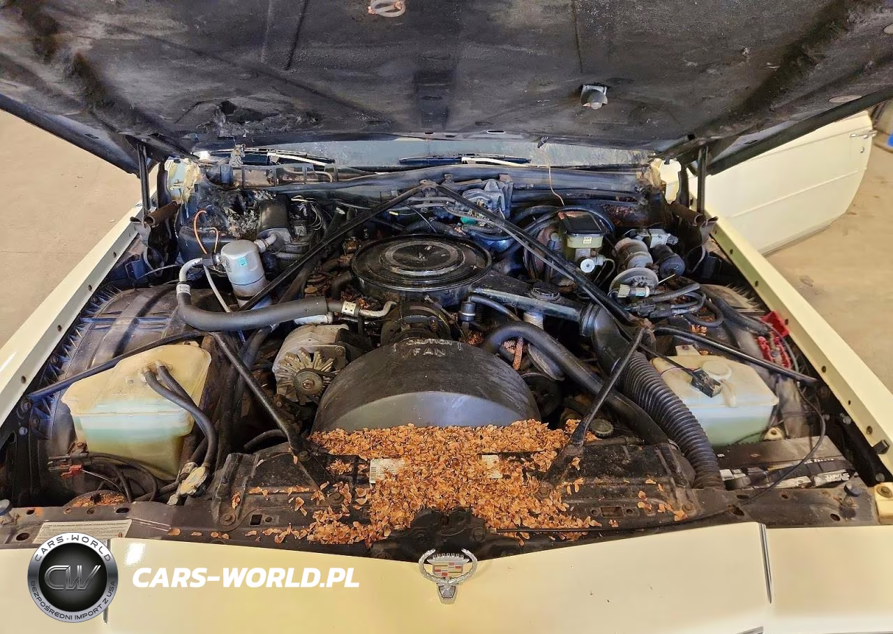 1984 Cadillac Fleetwood Brougham VIN:1G6AW4788E9092664 - 11