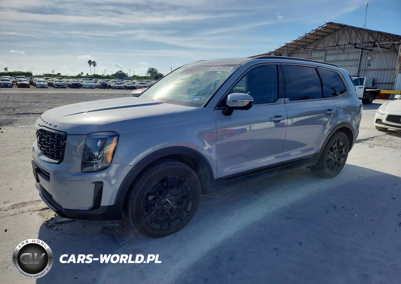 2022 Kia Telluride Sx VIN:5XYP5DHC4NG216571 - 1