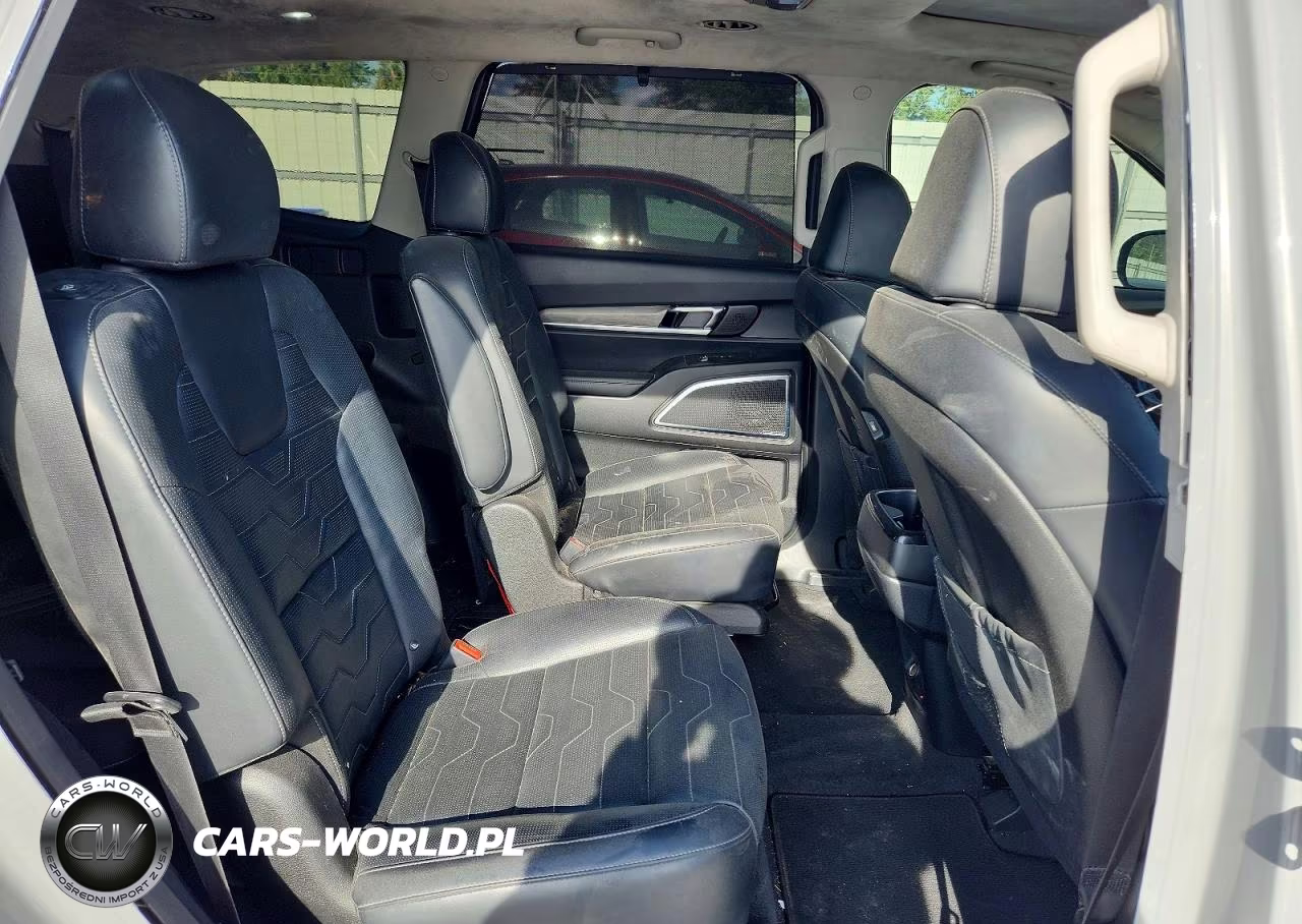 2022 Kia Telluride Sx VIN:5XYP5DHC4NG216571 - 11
