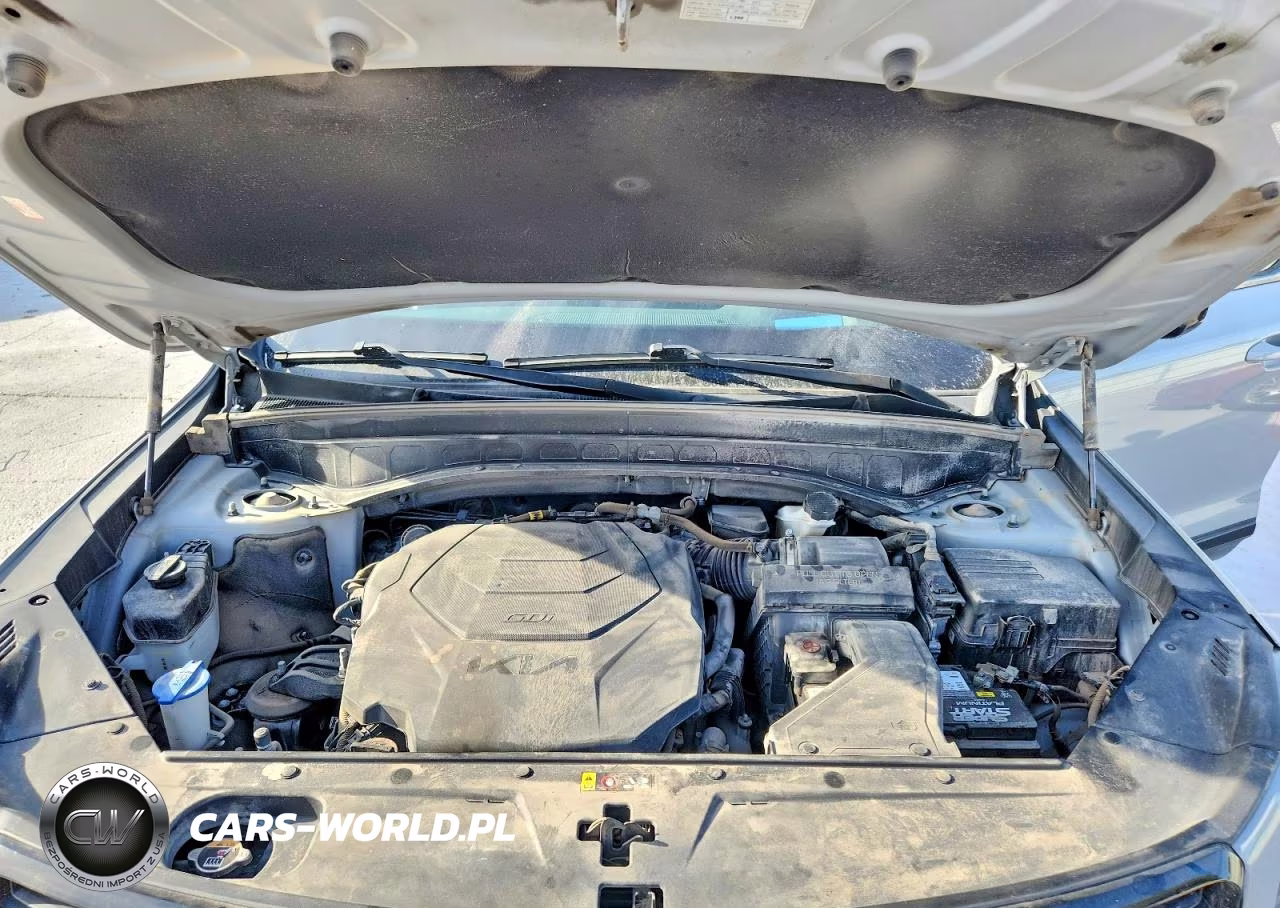 2022 Kia Telluride Sx VIN:5XYP5DHC4NG216571 - 12