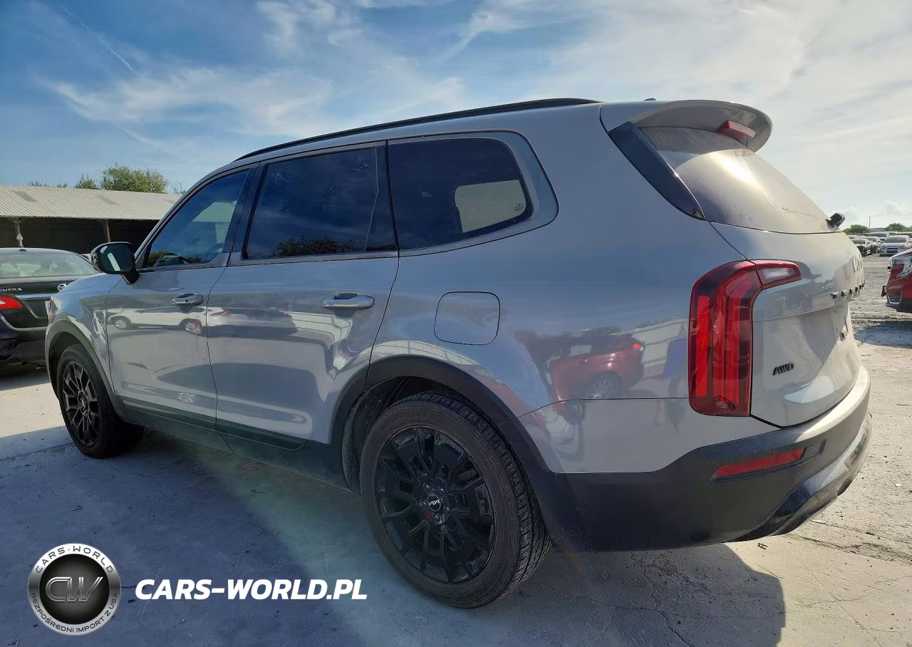 2022 Kia Telluride Sx VIN:5XYP5DHC4NG216571 - 2
