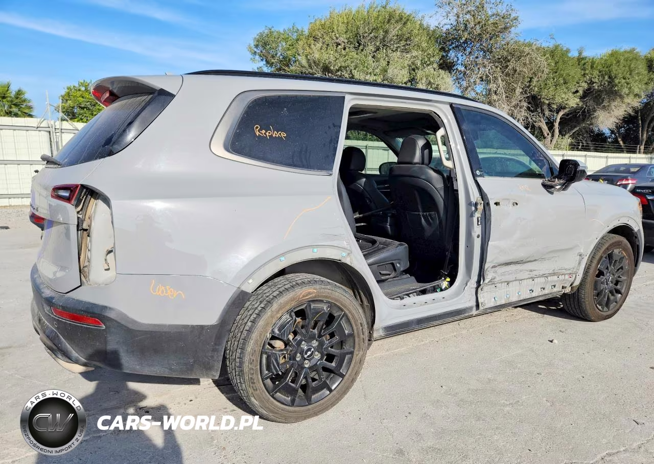 2022 Kia Telluride Sx VIN:5XYP5DHC4NG216571 - 3