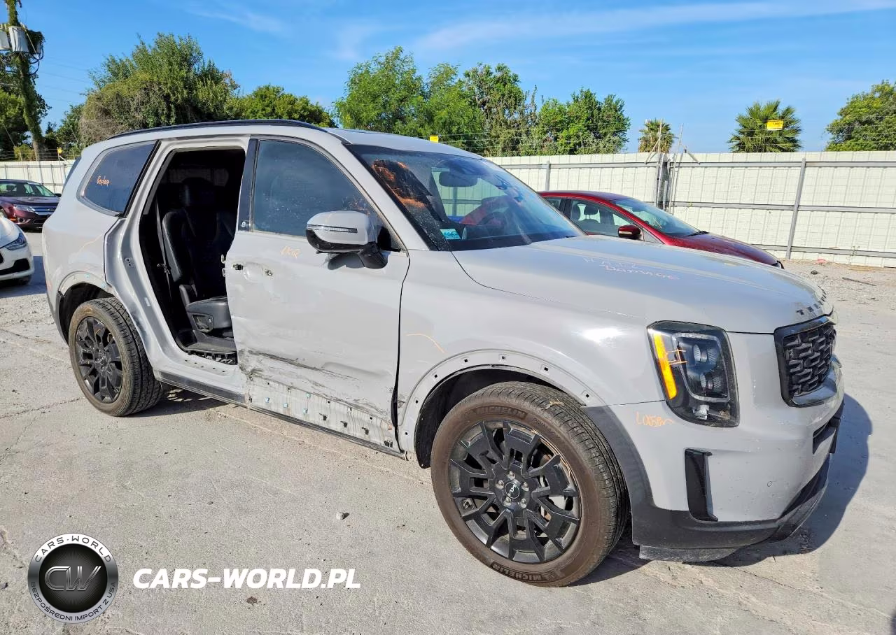 2022 Kia Telluride Sx VIN:5XYP5DHC4NG216571 - 4