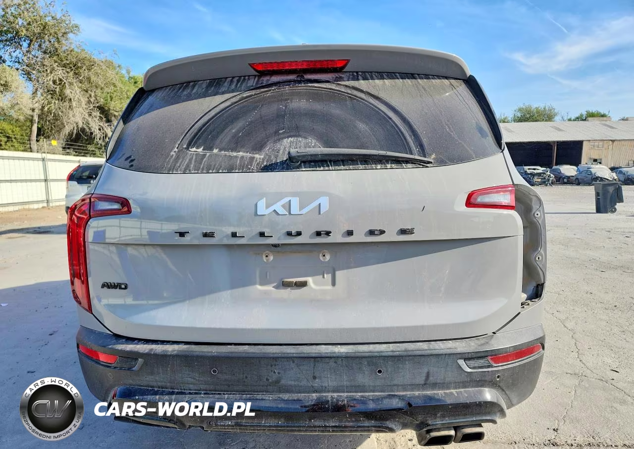 2022 Kia Telluride Sx VIN:5XYP5DHC4NG216571 - 6