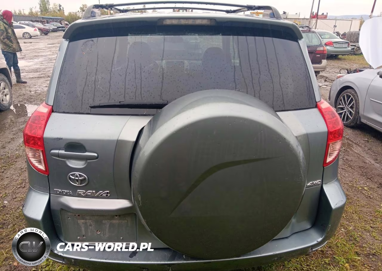 2008 Toyota Rav4 Limited VIN:JTMBK31VX85066245 - 6