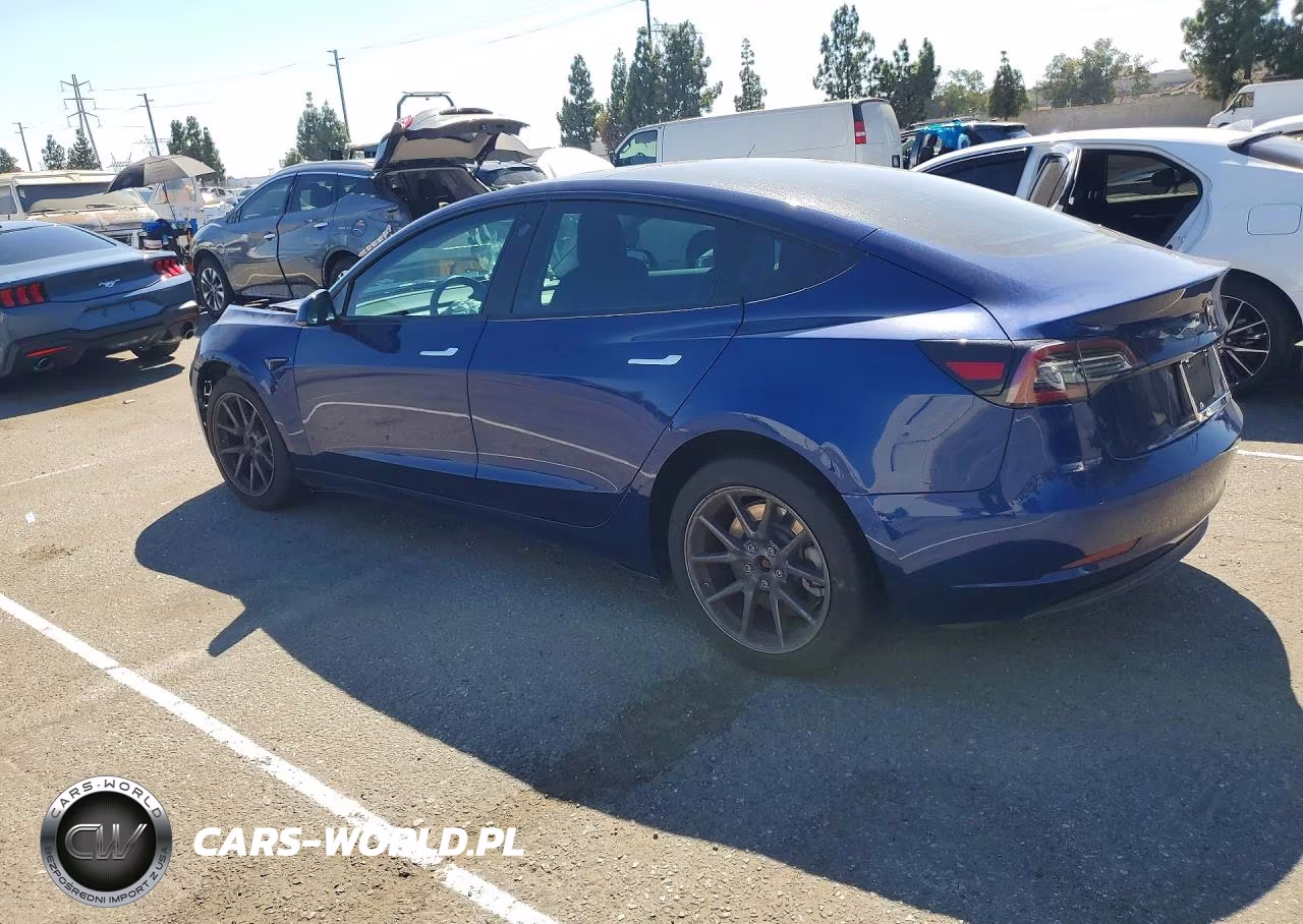 2019 Tesla Model 3 VIN:5YJ3E1EA4KF396833 - 2