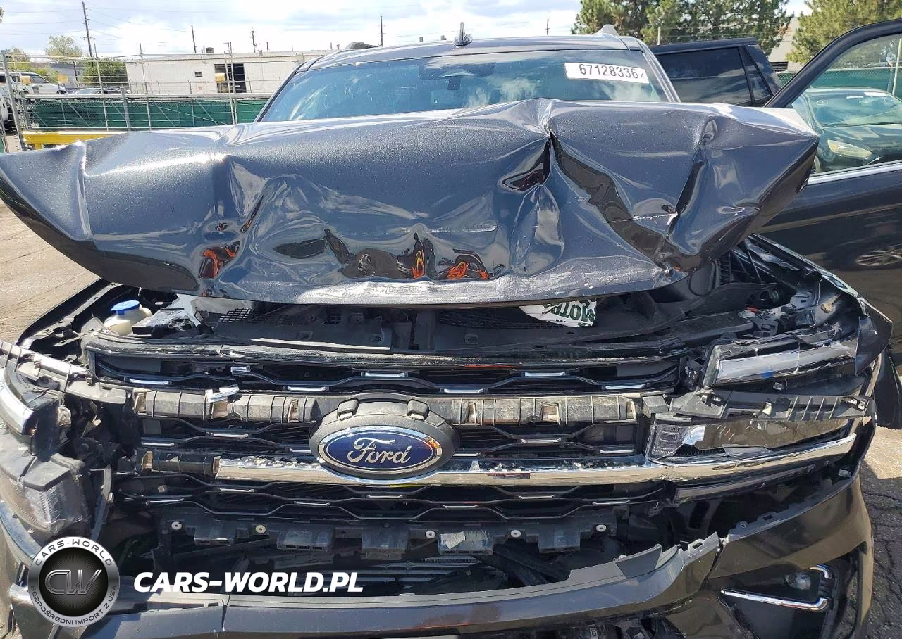 2023 Ford Expedition Max Limited VIN:1FMJK2A84PEA03085 - 11