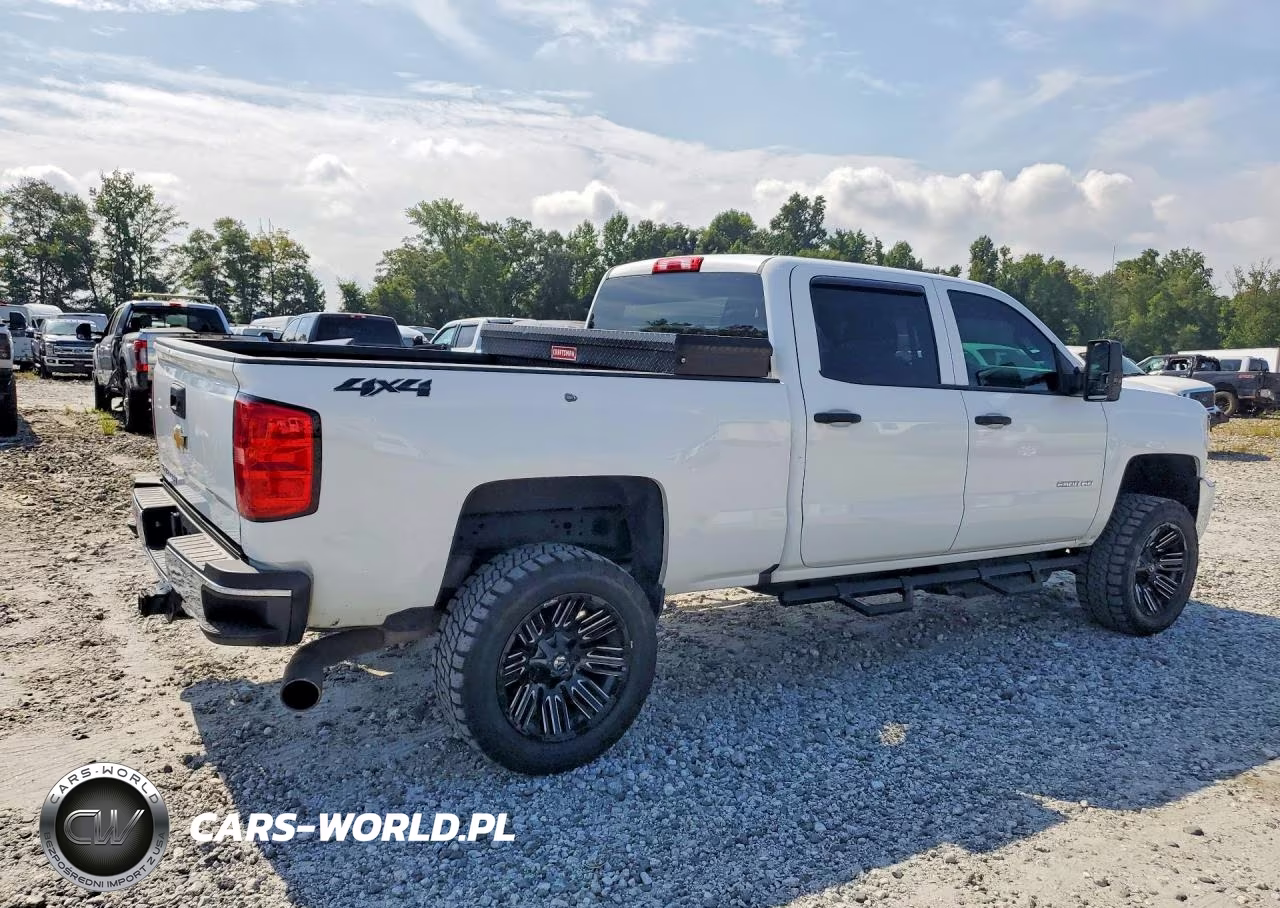 2019 Chevrolet Silverado 2500Hd Wt VIN:1GC1KREY1KF187766 - 3
