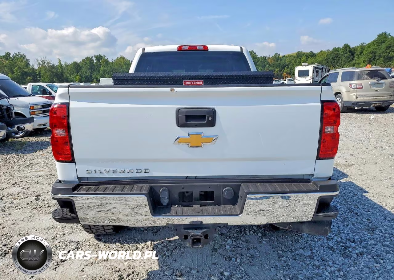 2019 Chevrolet Silverado 2500Hd Wt VIN:1GC1KREY1KF187766 - 6