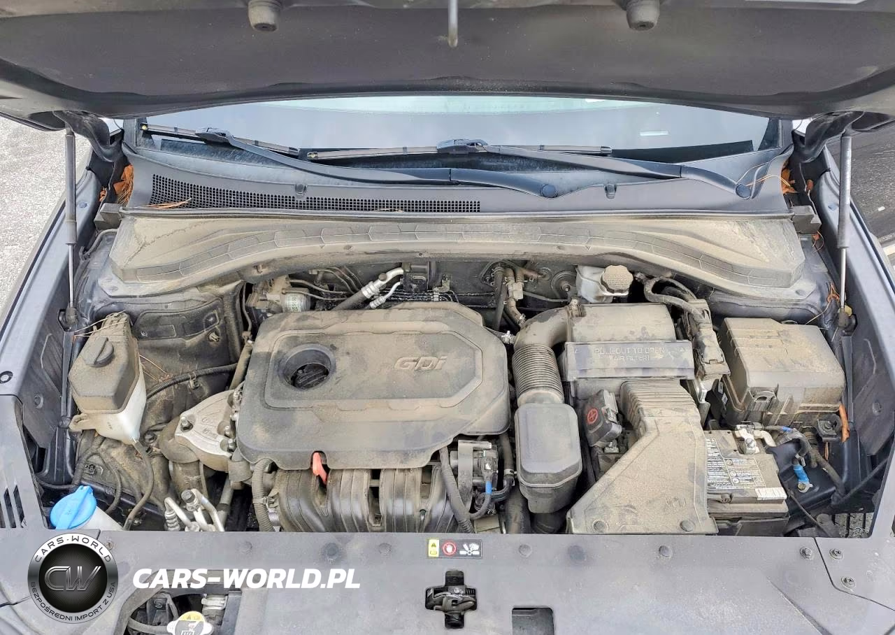 2020 Hyundai Santa Fe Limited VIN:5NMS5CAD4LH263738 - 12